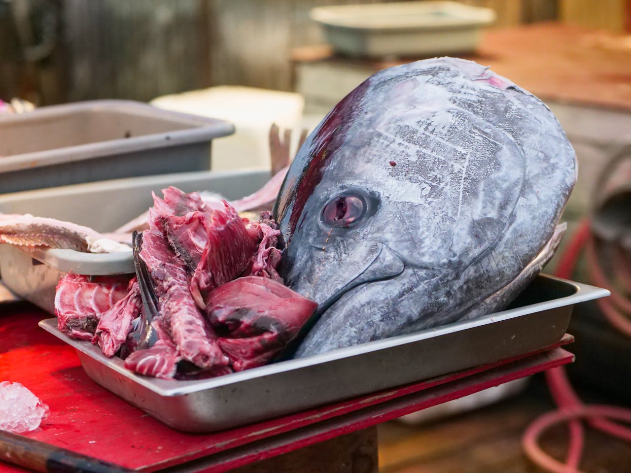 services-02 Close-up of a fresh tuna head prepared for cooking in a local fish market.